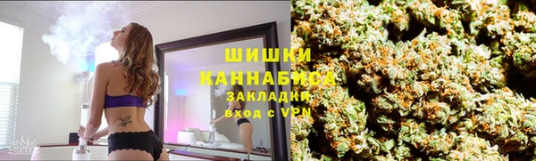 твердый Аркадак