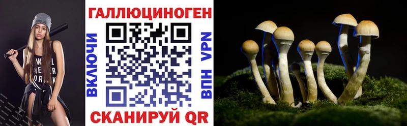 Галлюциногенные грибы прущие грибы  Балашов 